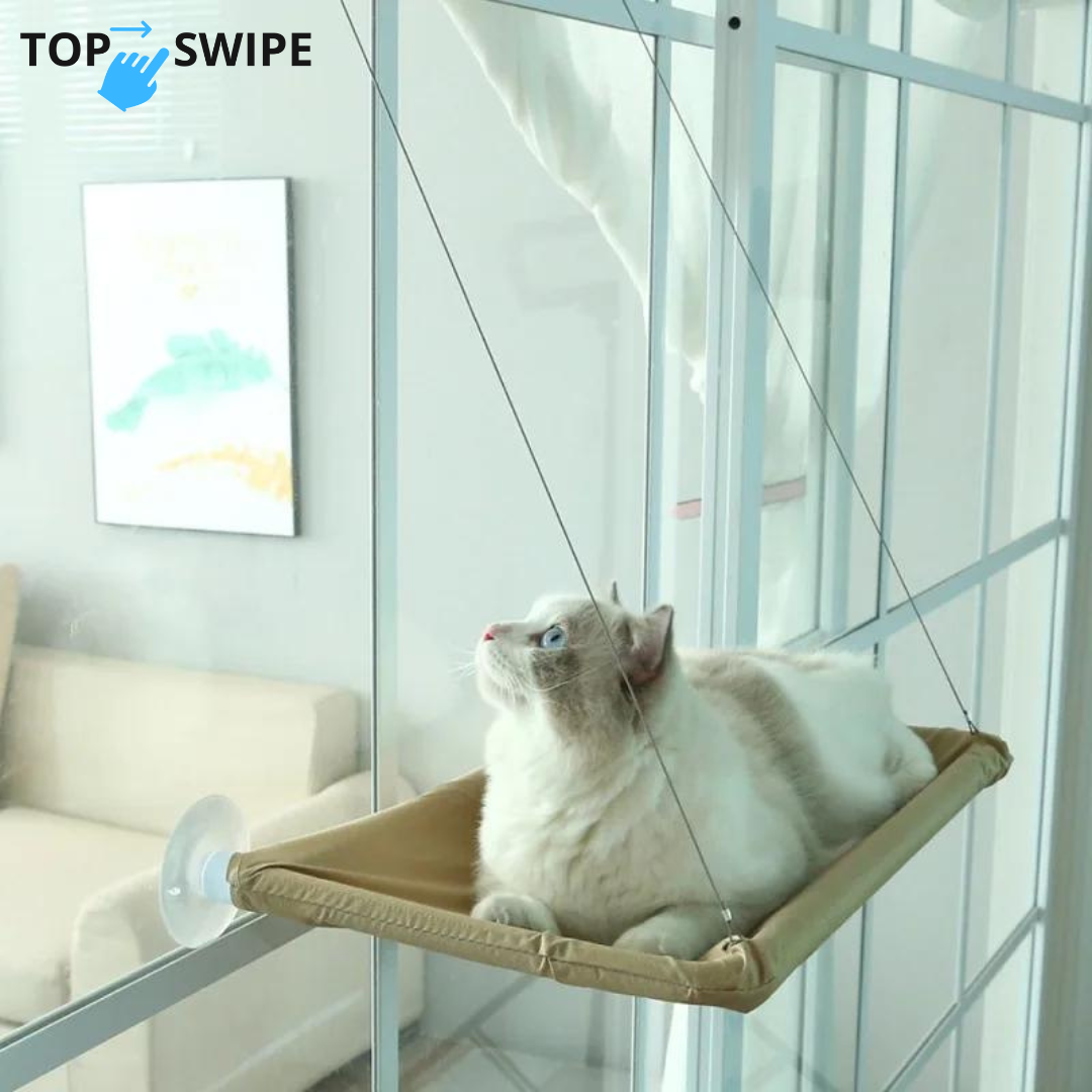 Topswipe | PluisParadijs Lounge